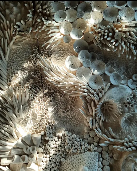 Resif · Canan Temizelli