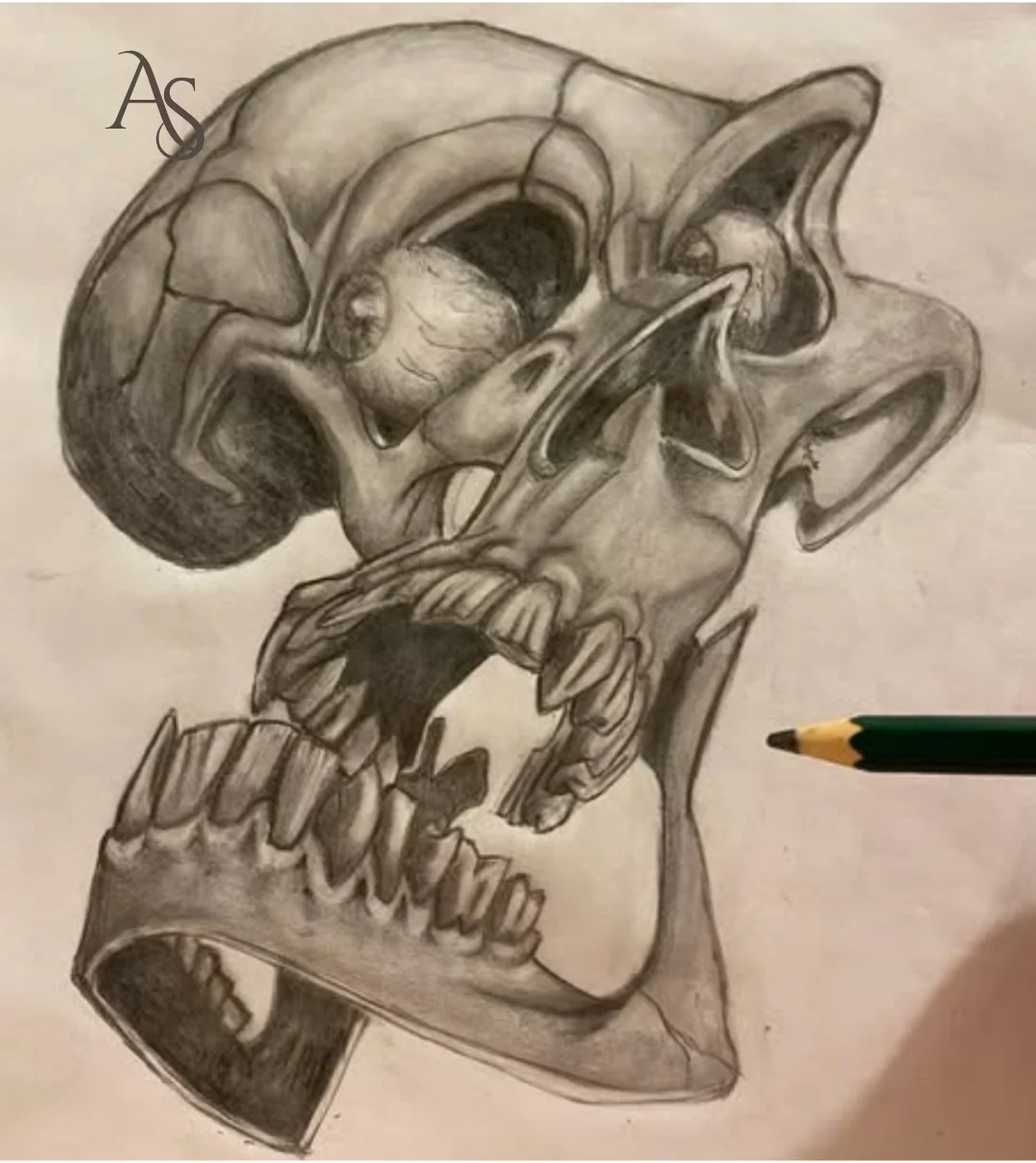 Vanitas · görünüm 1