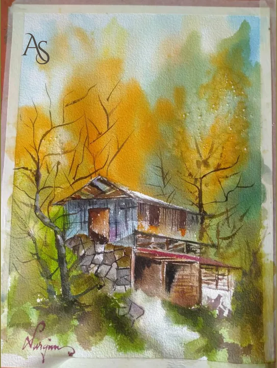 Köy Evi · Nurgün Şenliyim